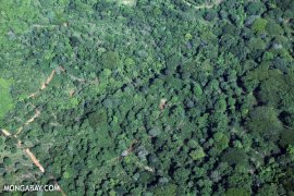 Coffee in Costa Rica Coffee in Costa Rica