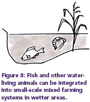 Figure 8: Fish and other water-living animals can be integrated into small-scale mixed farming systems in wetter areas.