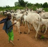 Source: http://bit.ly/1LuXlF7