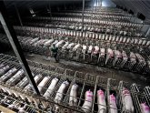 Animals Factory farms
