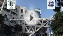Central Institute of Brackishwater Aquaculture (English)