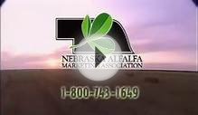 Discover the Advantage of Nebraska Alfalfa