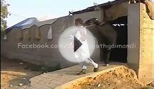 Gujjar Cattle Farm Bull Baba 2011