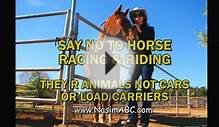 Horses Are Animals Not Livestock