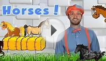 Horses for Children - Learn Farm Animals for Kids. The