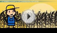 Law of Diminishing Returns: Definition & Examples