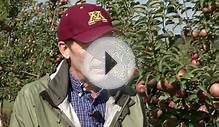 Prairie Yard & Garden: History of Minnesota Apple Development