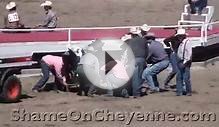 RODEO Animal Abuses, Factory Farms, Horse Slaughter, Baby