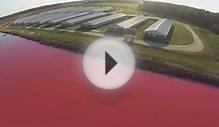 This Guy Exposes Factory Farms Using A Drone. This Is What