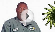 Waste Management - Careers