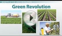 What Is the Green Revolution? - Definition, Benefits, and